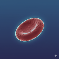 Ematologia